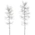 AV Plants Populus Tremuloides Winter Snow - Thumbnail 2