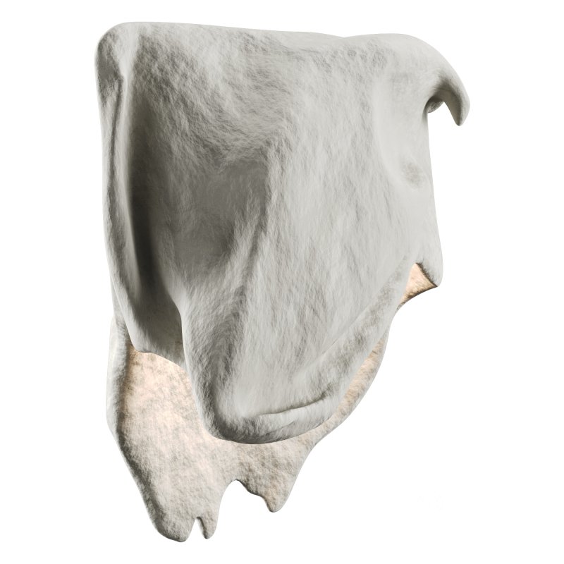 Castimonia Corporis LV Image 1