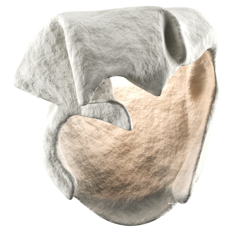 Castimonia Corporis Image 4