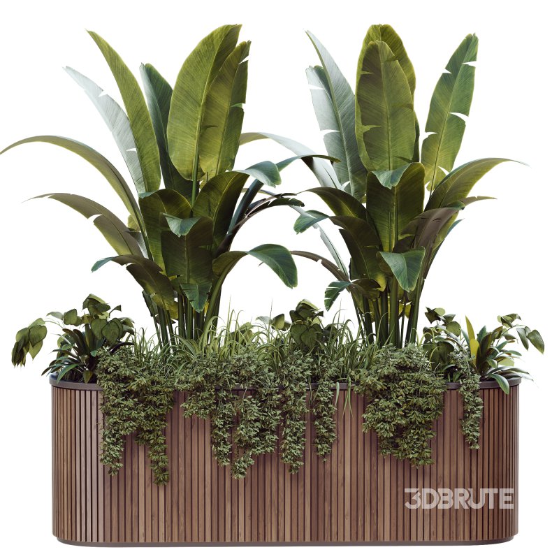 Outdoor Plant 39 Image 1