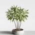 Indoor plants-plants in shelf set-172 - Thumbnail 4