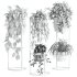 plants set - Thumbnail 5