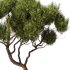 Tree Set29 - Thumbnail 3