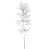 AV Plants Populus Tremuloides Winter Snow - Thumbnail 1