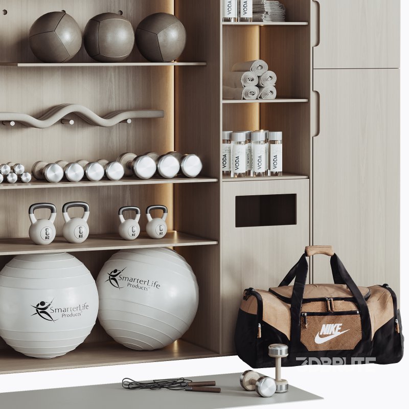 A Rack with gym equipment 02 Image 3