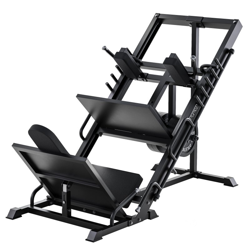 Beinpresse Hackenschmidt Combi Image 6