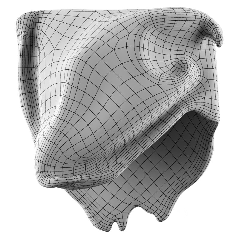 Castimonia Corporis LV Image 4