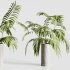 Indoor plants-plants in shelf set-172 - Thumbnail 2