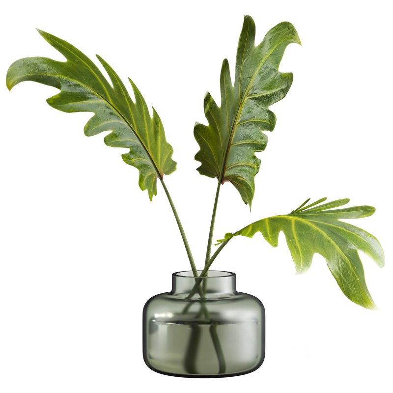 leaf and vase Image 2