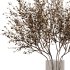 Dry branch set48 - Thumbnail 4