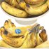 bowl of bananas fruit - Thumbnail 5