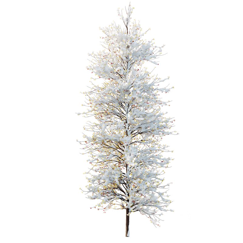 AV Plants Maidenhair Tree Ginkgo Biloba Winter Snow Image 1