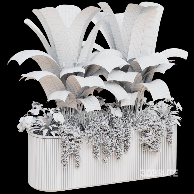 Outdoor Plant 39 Image 3