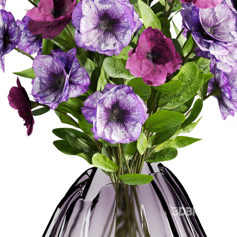 Plants_Set_94 Image 1