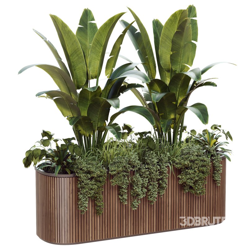 Outdoor Plant 39 Image 2