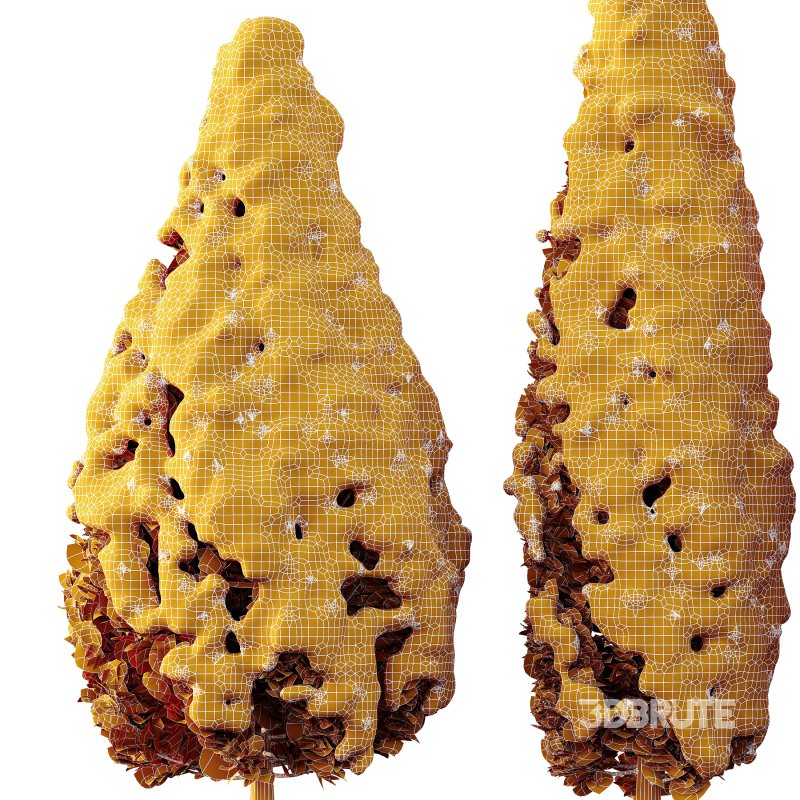 AV Plants Rocky Mountain Juniper Winter Snow Image 3