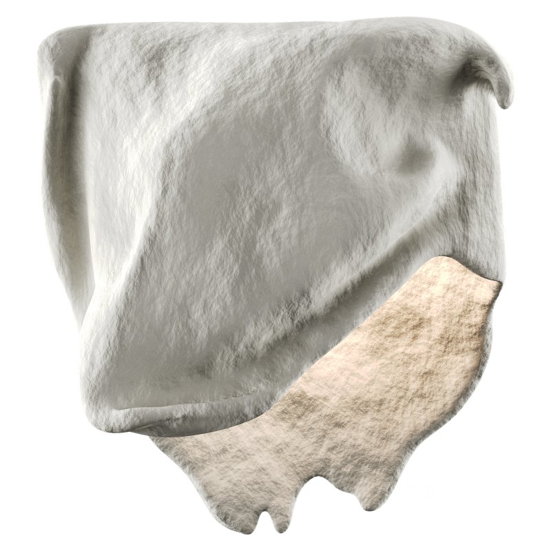 Castimonia Corporis LV Image 3