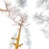 AV Plants Populus Tremuloides Winter Snow - Thumbnail 4