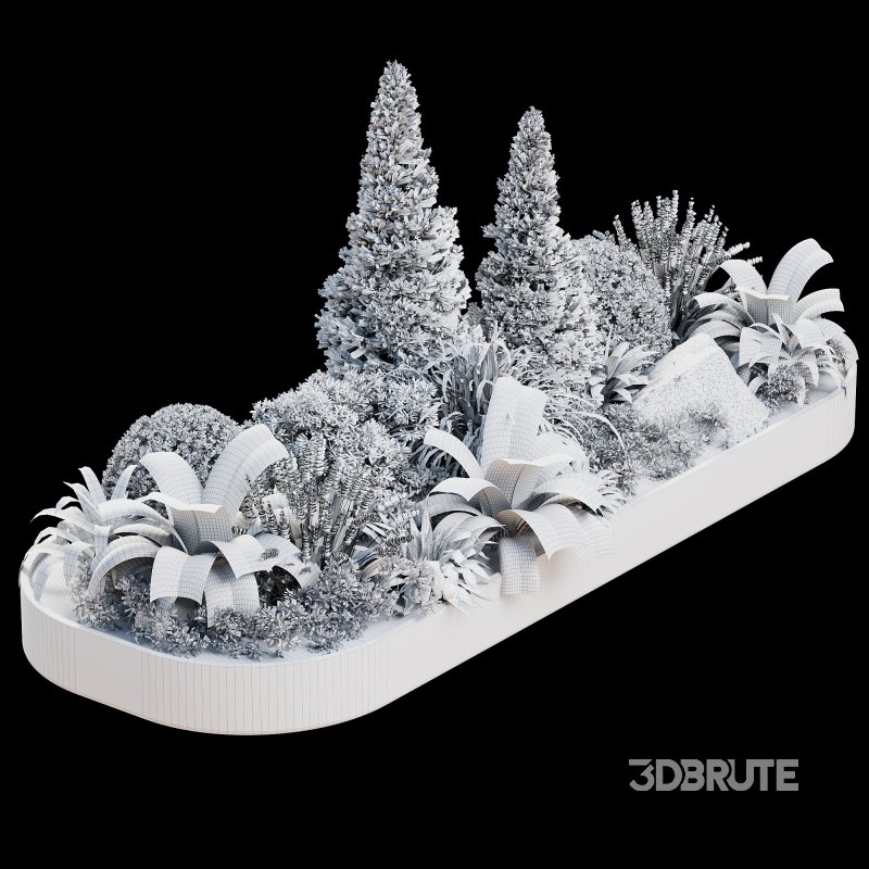 Outdoor Plant 38 Image 2