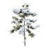 AV Plants Pinus Echinata Winter Snow Set03 - Thumbnail 3