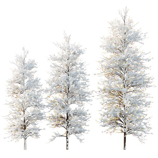 AV Plants Maidenhair Tree Ginkgo Biloba Winter Snow