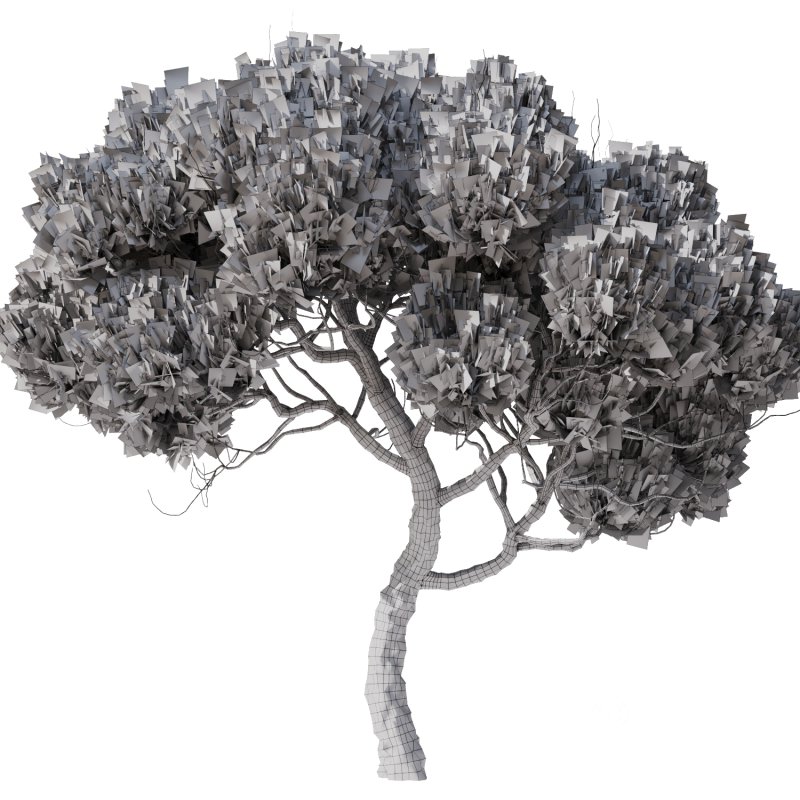 Tree Set28 – Pine tree Image 4