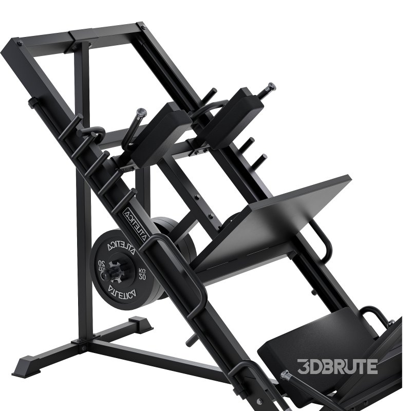 Beinpresse Hackenschmidt Combi Image 13