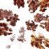 AV Plants Pinus Palustris Winter Snow - Thumbnail 4