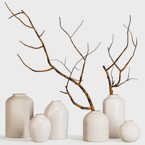 Minimalist Ceramic Vases with Rustic Mossy Branches