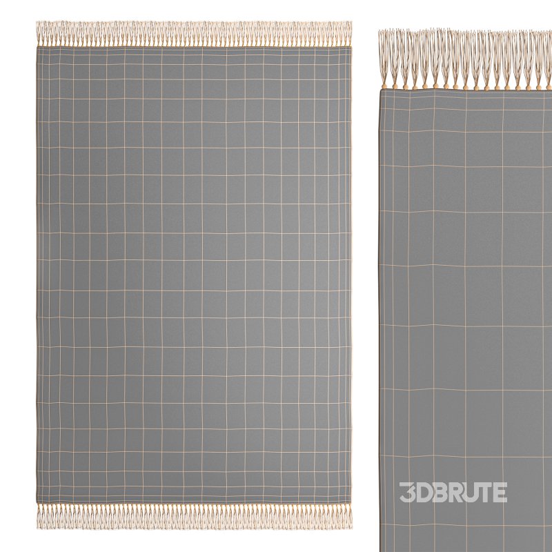 Wool Blend Tufted Tassel Rug Image 1