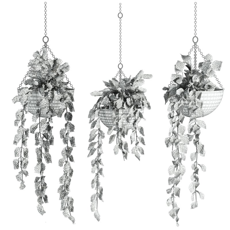 hanging plants set Image 2