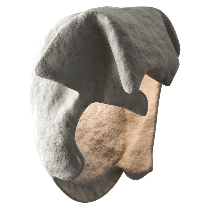 Castimonia Corporis Image 3