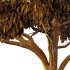 Parashorea Chinensis Tree 04 - Thumbnail 3