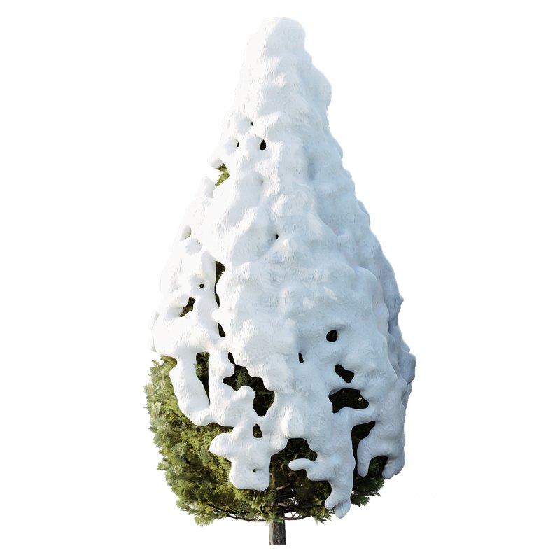 AV Plants Rocky Mountain Juniper Winter Snow Image 1