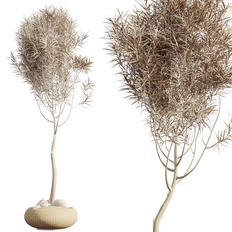 AV HousePlants Japandi Decorative Minimalism Ficus Dracaena Marginata13 Image 3