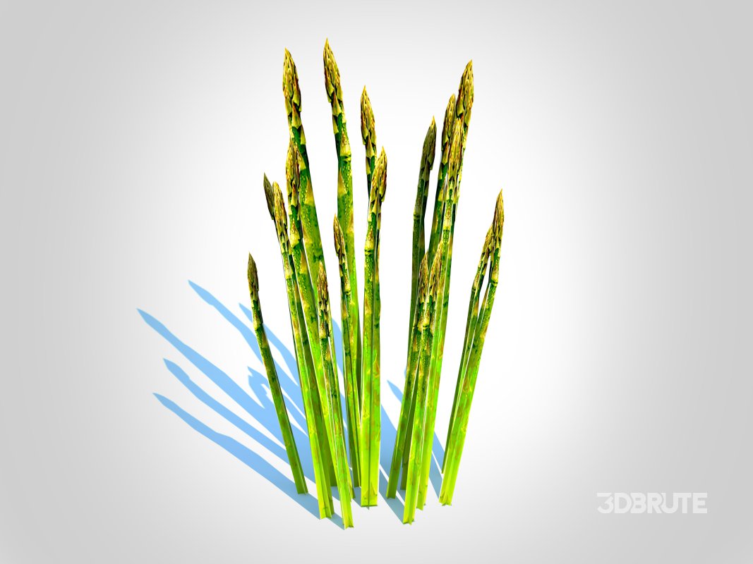 Asparagus Image 4