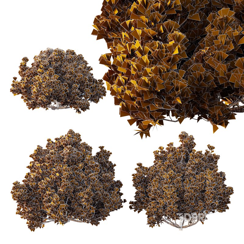 Different bush 01 Image 5