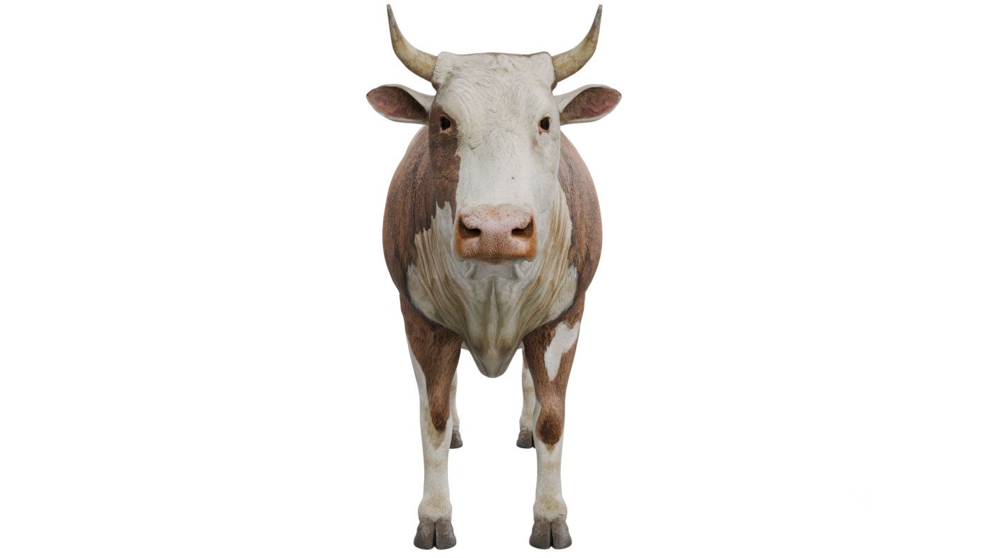 Cow Image 8