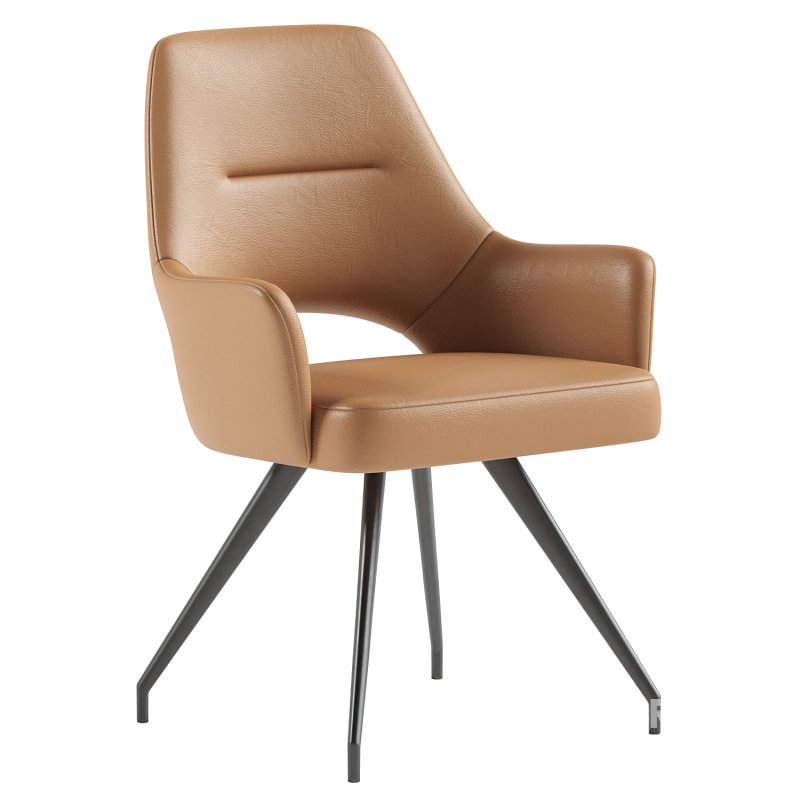 Aya dining chair Image 2