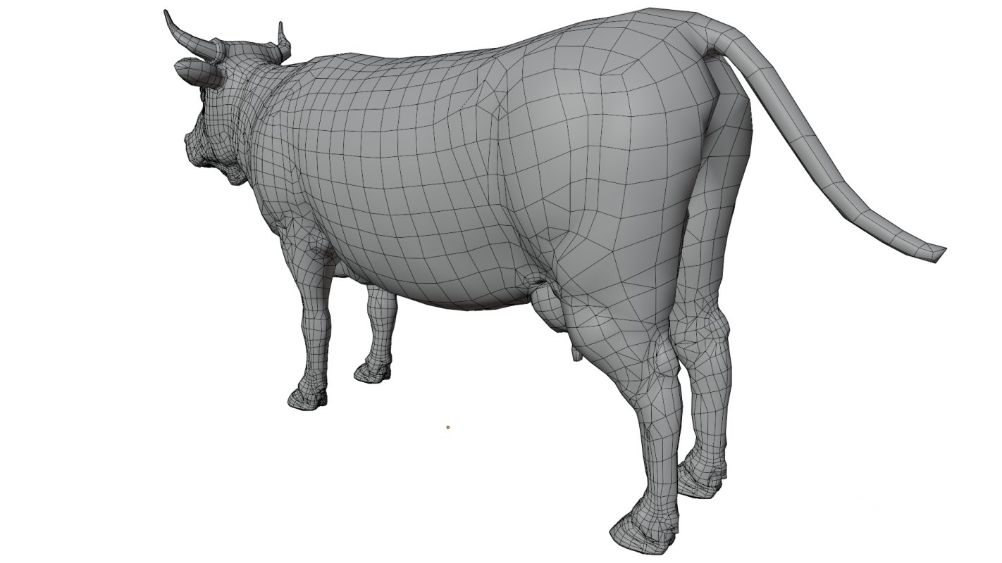 Cow Image 11