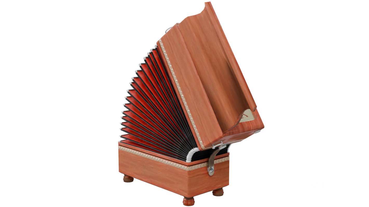 Accordion Image 7