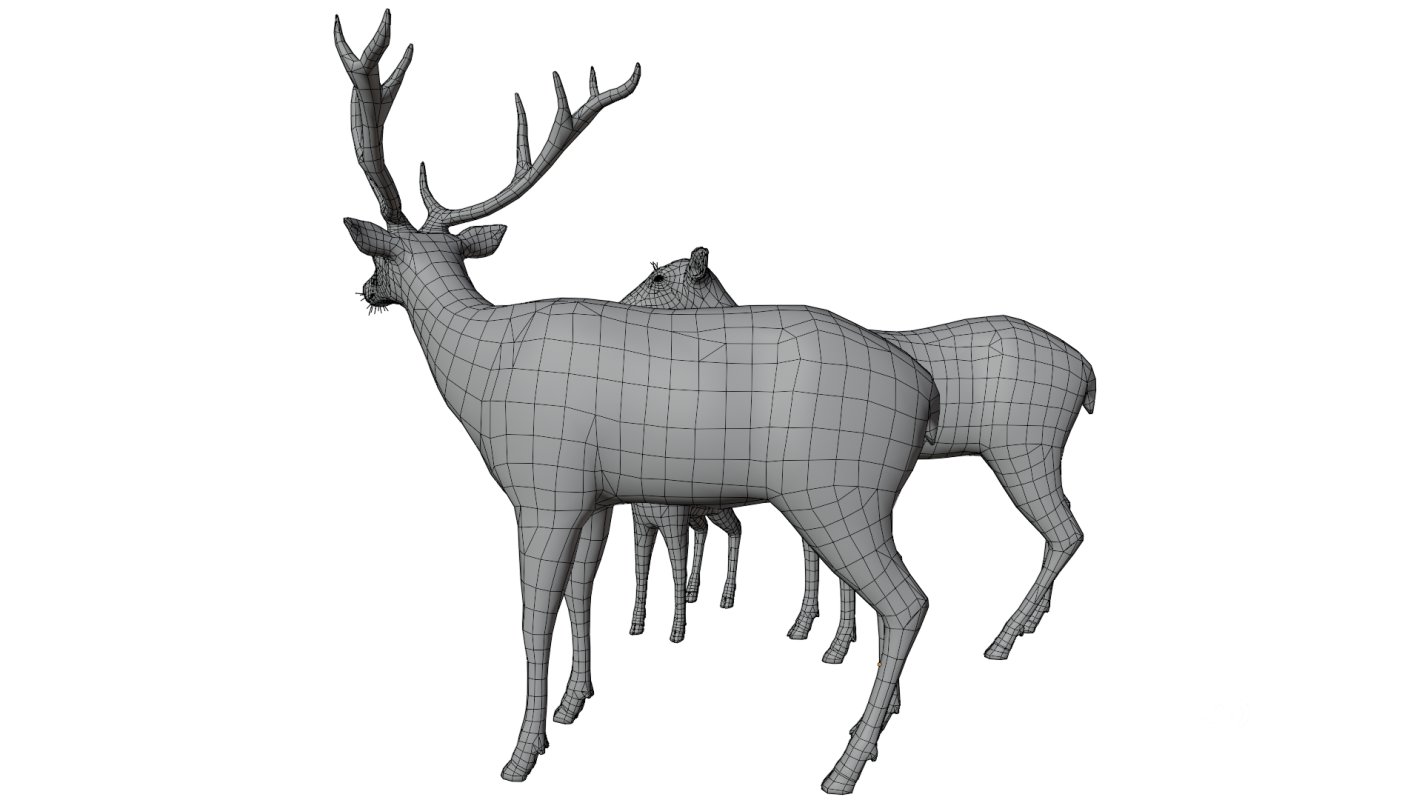 Deer Family Image 15