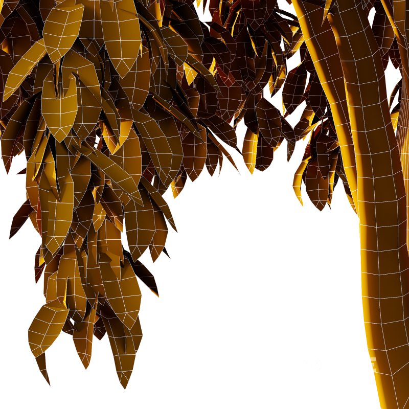 Osmanthus Fragrans Tree 02 Image 6