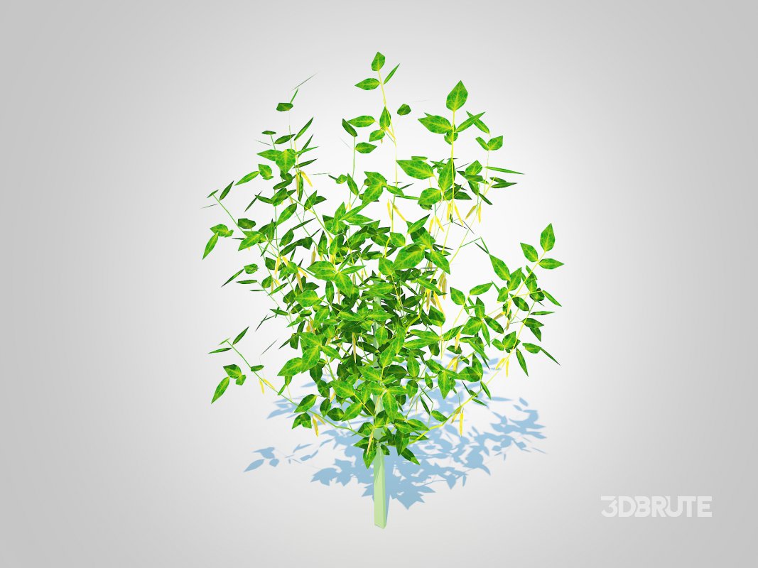 Chilli Pepper-yellow Image 3