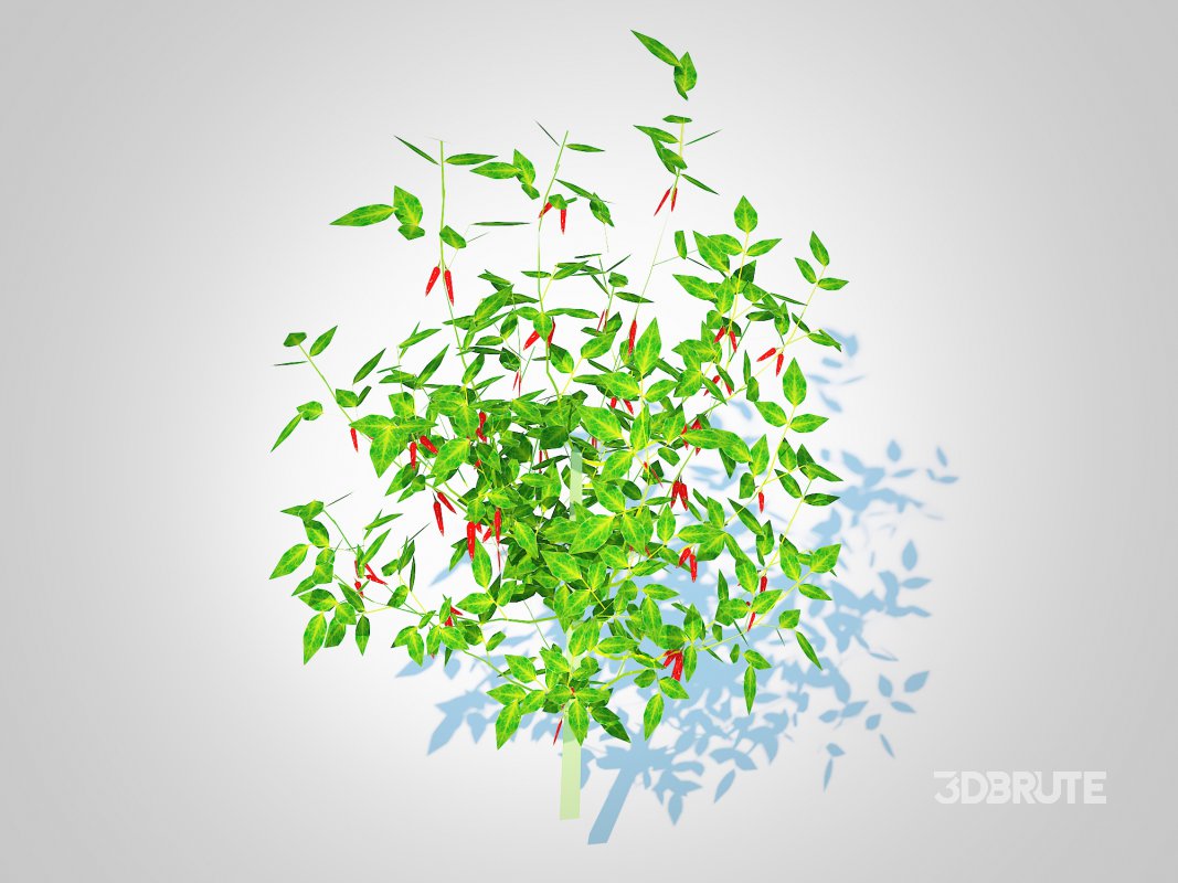 Chilli Pepper-red Image 1