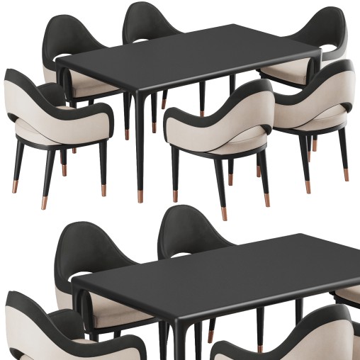 Dinning chair and table260
