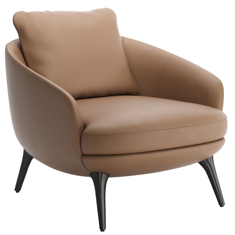 Minotti Raphael Armchair Image 7