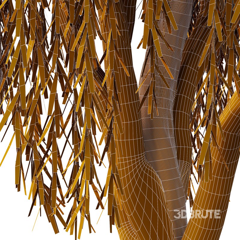 Weeping Willow Tree 04 Image 5