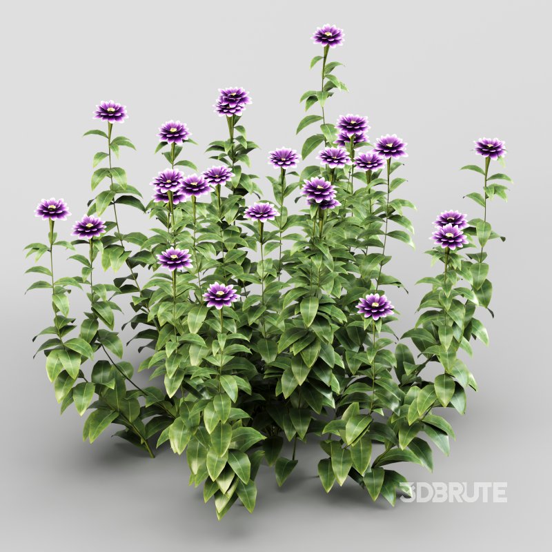 Purple blossom bush Image 3