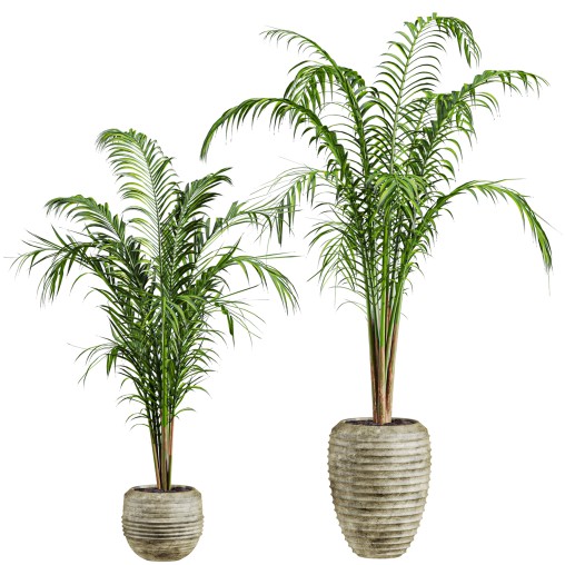 plants set